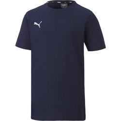Koszulka juniorska teamGOAL 23 Casuals Tee Puma