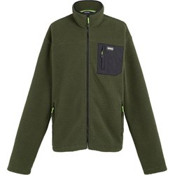 Polar męski Frankie Borg Fleece Regatta