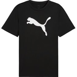 Koszulka męska Essentials Poly Tee Puma