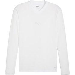 Longsleeve męski TeamGoal Baselayer Tee Puma