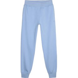 Spodnie dresowe damskie 4FWMM00TTROF0946 4F