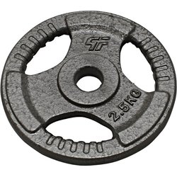 Obciążenie żeliwne Hammertone 2,5kg 29mm Platinum Fitness