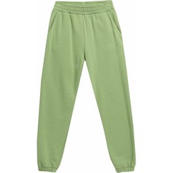 Spodnie dresowe damskie 4FAW23TTROF455 4F