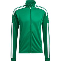 Bluza męska Squadra 21 Training Adidas
