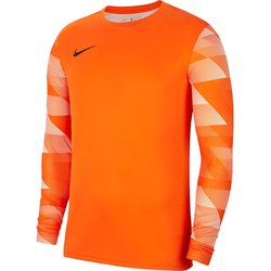 Bluza bramkarska męska Park IV Nike