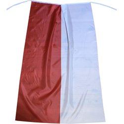 Peleryna kibica Polska