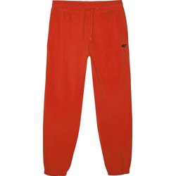 Spodnie dresowe męskie TTROM1139 4F