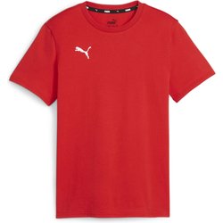Koszulka juniorska TeamGOAL Casuals Tee Puma