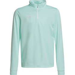 Bluza juniorska Entrada 22 Top Training Adidas