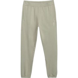 Spodnie dresowe męskie TTROM1014 4F