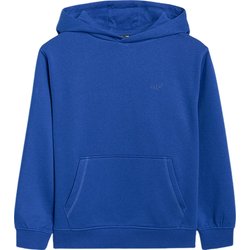 Bluza chłopięca TSWSM1945 4F