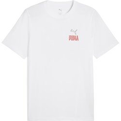Koszulka męska Road To Unity Values Graphic Puma