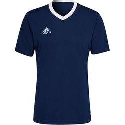 Koszulka męska Entrada 22 Jersey Adidas
