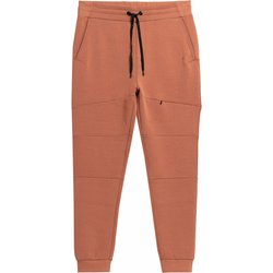 Spodnie joggery męskie 4FSS23TTROM152 4F