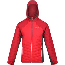 Kurtka hybrudowa męska Trutton Regatta