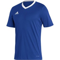 Koszulka męska Entrada 22 Jersey Adidas