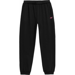 Spodnie dresowe dziewczęce 4FJAW23TFTRF328 4F