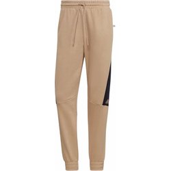 Spodnie dresowe męskie Future Icons Embroidered Badge Of Sport Adidas