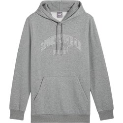 Bluza męska Ess+ Logo Lab Gradient Hoodie FL Puma