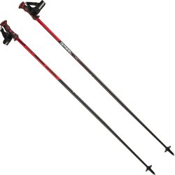 Kije narciarskie HS-R Logo Gabel