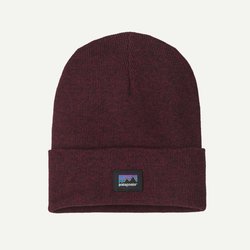 Czapka Everyday Beanie Patagonia