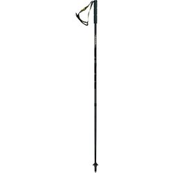 Kije nordic walking Viper 3S R Gabel