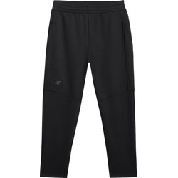 Spodnie dresowe męskie TTROM1194 4F