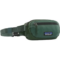 Saszetka, nerka Terravia Mini Hip Pack 1L Patagonia