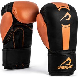 Rękawice bokserskie juniorskie Boxer Overlord