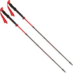 Kije trekkingowe Spider FS Viking
