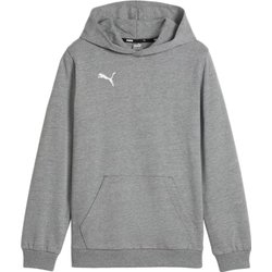 Bluza juniorska TeamGOAL Casuals Hoody Jr Puma