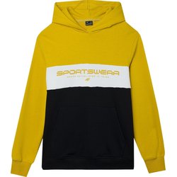 Bluza męska 4FWSS24TSWSM1032 4F