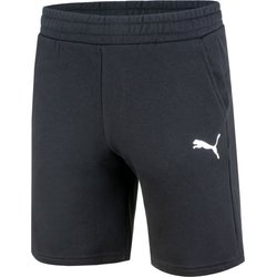 Spodenki męskie teamGOAL 23 Casuals Puma