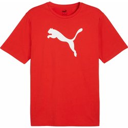 Koszulka męska teamRISE Logo Jersey Cotton Puma