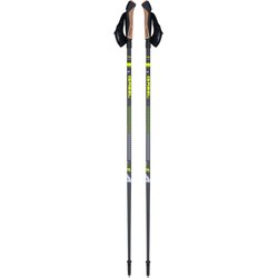 Kije nordic walking Inverso CA A.I. Gabel