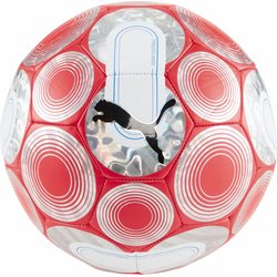 Piłka nożna Cage Fire 5 Puma