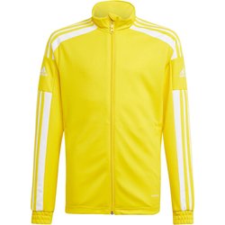 Bluza juniorska Squadra 21 Training Youth Adidas