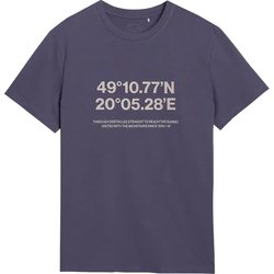 Koszulka męska TTSHM2209 4F