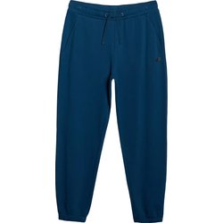 Spodnie dresowe męskie TTROM1139 4F