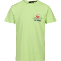 Regatta - Camiseta Diseño Impreso Cline IV Hombres (Óxido) | En Línea