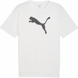 Koszulka męska teamRISE Logo Jersey Cotton Puma