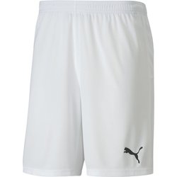 Spodenki męskie teamGOAL 23 Puma