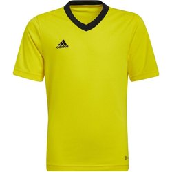 Koszulka juniorska Entrada 22 Jersey Adidas