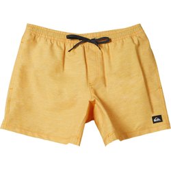 Spodenki kąpielowe męskie Deluxe Quiksilver