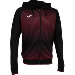 Bluza męska Tiger V Zip-Up Hoodie Joma