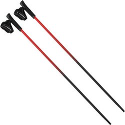 Kije do nordic walking Pro-Trainer Viking