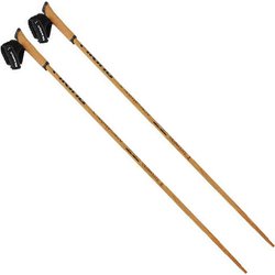 Kije do nordic walking Expedition Carbo Viking