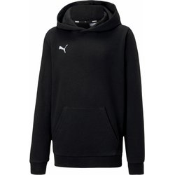 Bluza juniorska teamGOAL 23 Casuals Hoody Puma
