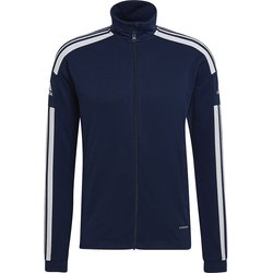 Bluza męska Squadra 21 Training Adidas