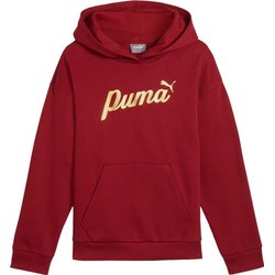 Bluza juniorska Ess+ Script Metallic Hoodie Puma